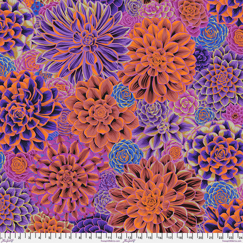 February 2025 - House Leeks - Purple
