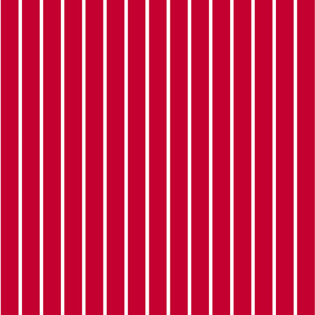 Dots & Stripes & More - Spaced Stripe - R