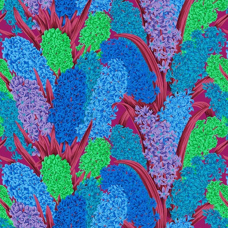 August 2023 - Hyacinthus - Blue