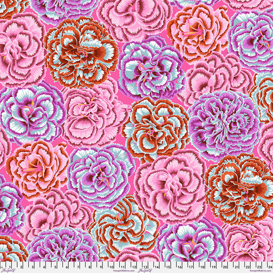 August 2025 - Picotee Carnations - Pink