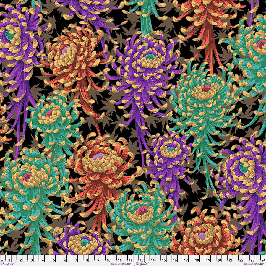 August 2025 - Spider Mums - Dark