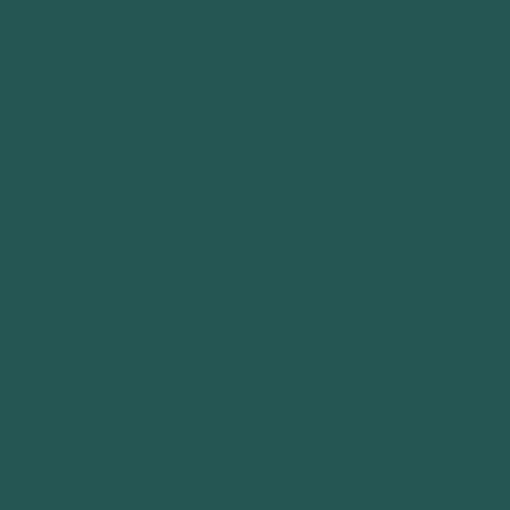 ColorPlay - Hunter