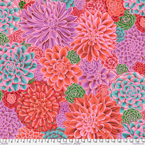 February 2025 - House Leeks - Pink