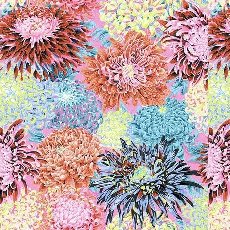 February 2022 - Japanese Chrysanthemum - Contrast