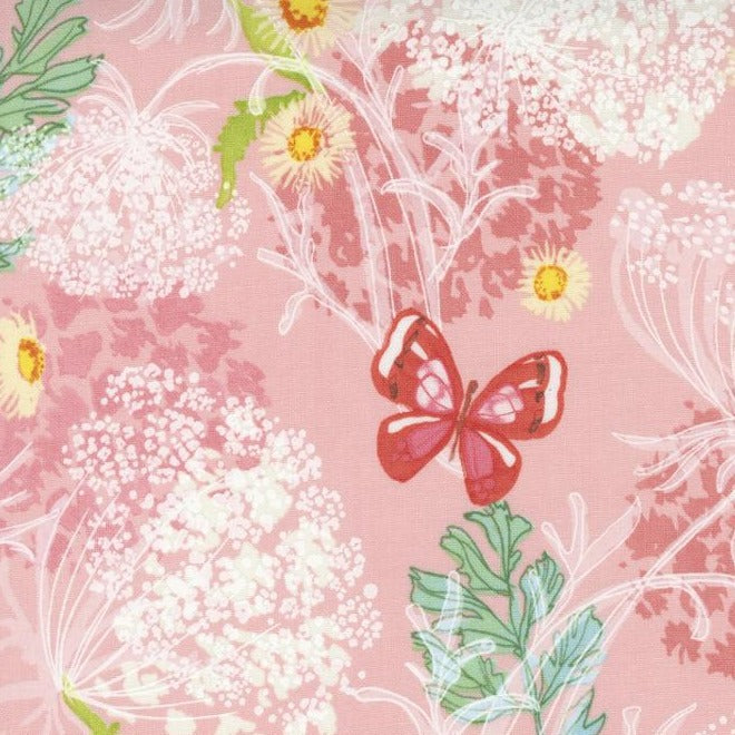Wild Blossoms - Queen Anne's Lace - Princess