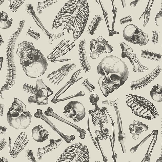 Boo-tiful - Mr. Bone - Cream