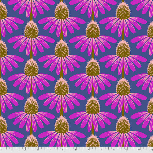 Love Always - Echinacea Glow - Haute