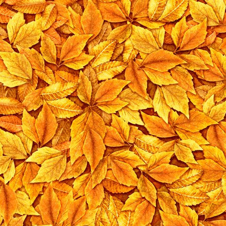 Always Face The Sunshine - Leaves - Orange