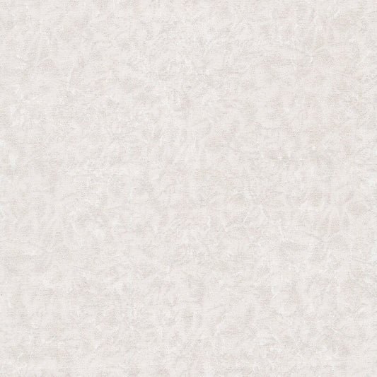 Fairy Frost - Snow