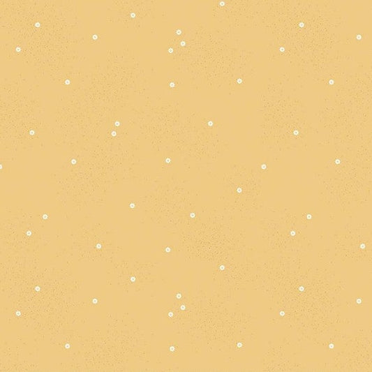 Dainty Daisy - Honey