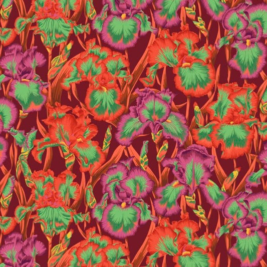 August 2020 - Bearded Iris - Red